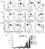 CD86 (B7-2) Antibody in Flow Cytometry (Flow)