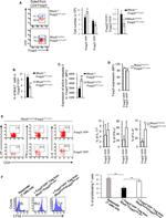 IL-4 Antibody in Flow Cytometry (Flow)