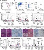 Ly-6A/E (Sca-1) Antibody in Flow Cytometry (Flow)