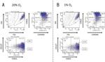 CD62L (L-Selectin) Antibody in Flow Cytometry (Flow)