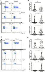 IFN gamma Antibody in Flow Cytometry (Flow)