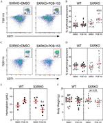 CD71 (Transferrin Receptor) Antibody in Flow Cytometry (Flow)