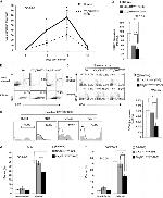 CD117 (c-Kit) Antibody in Flow Cytometry (Flow)