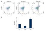 FOXP3 Antibody in Flow Cytometry (Flow)