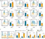 IRF4 Antibody in Flow Cytometry (Flow)