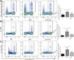 IL-17A Antibody in Flow Cytometry (Flow)