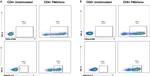 IFN gamma Antibody in Flow Cytometry (Flow)