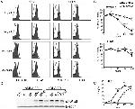 CD284 (TLR4) Antibody in Flow Cytometry (Flow)