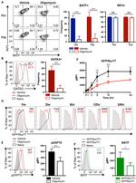 IRF4 Antibody in Flow Cytometry (Flow)