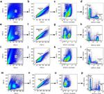 CD45 Antibody in Flow Cytometry (Flow)