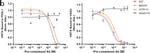 Mouse IgG (H+L) Secondary Antibody in ELISA (ELISA)