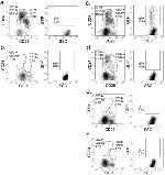 CD24 Antibody in Flow Cytometry (Flow)