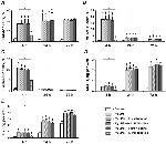 CD54 (ICAM-1) Antibody in Flow Cytometry (Flow)