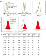 IL-10 Antibody in Flow Cytometry (Flow)