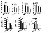 CD40 Antibody in Flow Cytometry (Flow)