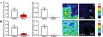 Mouse IgG (H+L) Highly Cross-Adsorbed Secondary Antibody in Immunohistochemistry (IHC)