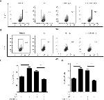 CD152 (CTLA-4) Antibody in Flow Cytometry (Flow)