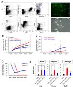 Ly-6A/E (Sca-1) Antibody in Flow Cytometry (Flow)