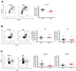 CD11c Antibody in Flow Cytometry (Flow)