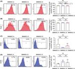 CD29 (Integrin beta 1) Antibody in Flow Cytometry (Flow)