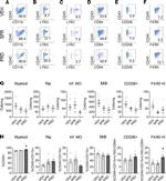 CD206 (MMR) Antibody in Flow Cytometry (Flow)