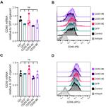 CD46 Antibody in Flow Cytometry (Flow)