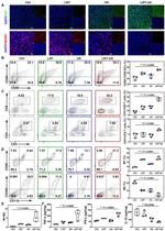 CD86 (B7-2) Antibody in Flow Cytometry (Flow)