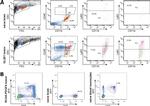 Ly-6G/Ly-6C Antibody in Flow Cytometry (Flow)