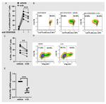 IFN gamma Antibody in Flow Cytometry (Flow)