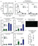 CD24 Antibody in Flow Cytometry (Flow)