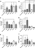 NK1.1 Antibody in Flow Cytometry (Flow)