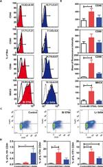 CD86 (B7-2) Antibody in Flow Cytometry (Flow)