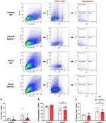 CD45R (B220) Antibody in Flow Cytometry (Flow)