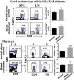 CD8a Antibody in Flow Cytometry (Flow)