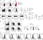 CD27 Antibody in Flow Cytometry (Flow)