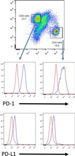 CD8a Antibody in Flow Cytometry (Flow)