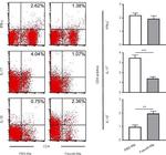 IL-17A Antibody in Flow Cytometry (Flow)