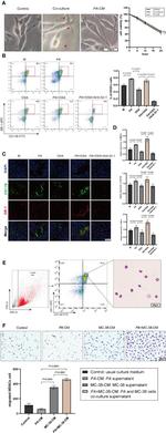 CD11b Antibody in Flow Cytometry (Flow)