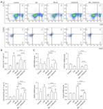 CD25 Antibody in Flow Cytometry (Flow)