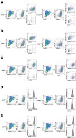 CD163 Antibody in Flow Cytometry (Flow)