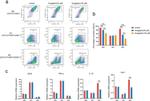 CD206 (MMR) Antibody in Flow Cytometry (Flow)