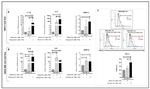 CD274 (PD-L1, B7-H1) Antibody in Flow Cytometry (Flow)