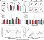 IRF4 Antibody in Flow Cytometry (Flow)