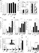 CD28 Antibody in T-Cell Activation (TCA)