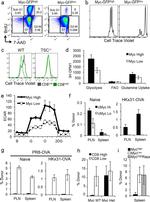 CD8a Antibody in Flow Cytometry (Flow)