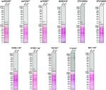 SOD1 Antibody in Western Blot (WB)