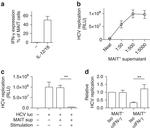 CD3 Antibody in Flow Cytometry (Flow)