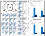 CD34 Antibody in Flow Cytometry (Flow)