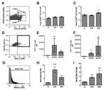 MHC Class II (I-A/I-E) Antibody in Flow Cytometry (Flow)