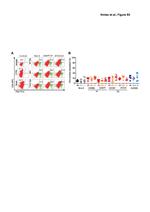 CD4 Antibody in Flow Cytometry (Flow)